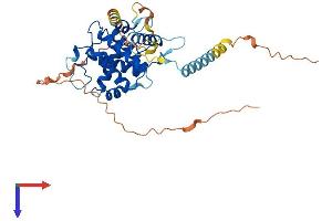 CCNYL1 Protein (AA 1-359) (His tag)
