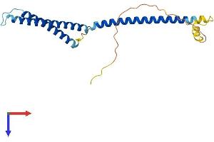 MED22 Protein (AA 1-200) (His tag)