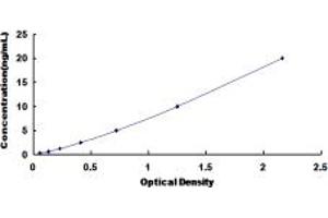 Typical standard curve (FZD6 ELISA Kit)