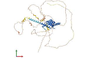 Protein Structure (PS) image for Disabled Homolog 1 (Drosophila) (DAB1) (AA 1-588) protein (His tag) (ABIN7556782)