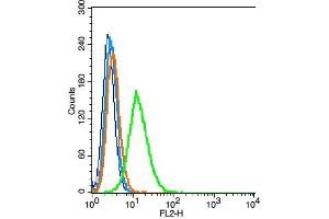RSC96 cells probed with CD47/MER6 Polyclonal Antibody, Unconjugated  at 1:100 for 30 minutes followed by incubation with a PE conjugated secondary (green) for 30 minutes compared to control cells (blue), secondary only (light blue) and isotype control (orange). (CD47 Antikörper  (AA 241-323))