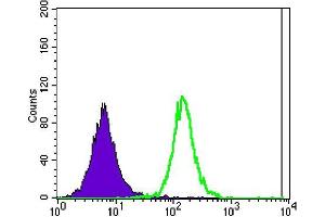 Flow cytometric analysis of Jurkat cells using ATXN1 mouse mAb (green) and negative control (purple). (Ataxin 1 Antikörper)