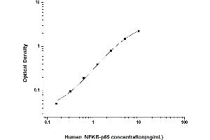 NF-kB p65 ELISA Kit