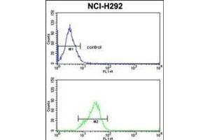 SFRS5 Antibody (Center Y85) (ABIN390554 and ABIN2840889) flow cytometric analysis of NCI- cells (bottom histogram) compared to a negative control cell (top histogram). (SRSF5 Antikörper  (AA 70-97))