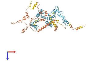 ZNF285 Protein (AA 1-590) (His tag)