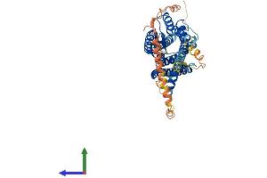 Protein Structure (PS) image for Hypocretin (Orexin) Receptor 2 (HCRTR2) (AA 1-460) protein (His tag) (ABIN7556513)