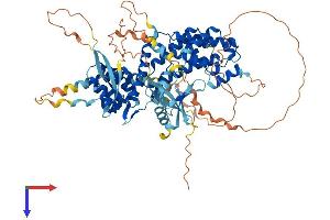 RGL3 Protein (AA 1-709) (His tag)