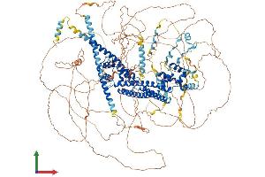 Protein Structure (PS) image for Formin 1 (FMN1) (AA 1-1419) protein (His tag) (ABIN7553949)
