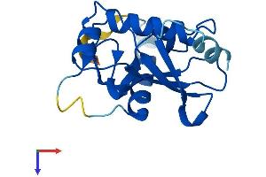 UBE2QL1 Protein (AA 1-161) (His tag)
