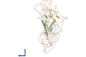 Protein Structure (PS) image for Nuclear Receptor Interacting Protein 1 (NRIP1) (AA 1-1161) protein (His tag) (ABIN7564532)