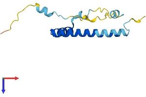 LIN52 Protein (AA 1-116) (His tag)