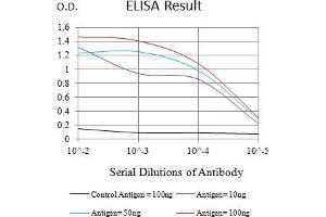 Black line: Control Antigen (100 ng),Purple line: Antigen (10 ng), Blue line: Antigen (50 ng), Red line:Antigen (100 ng) (BTN1A1 Antikörper  (AA 27-242))