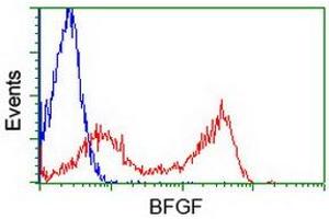 Image no. 2 for anti-Fibroblast Growth Factor 2 (Basic) (FGF2) (AA 10-155) antibody (ABIN1490784) (FGF2 Antikörper  (AA 10-155))