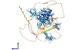 Protein Structure (PS) image for Valosin Containing Protein (p97)/p47 Complex Interacting Protein 1 (Vcpip1) (AA 1-1222) protein (His tag) (ABIN7555993)