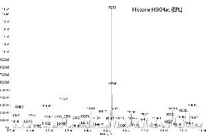 Mass Spectrometry (MS) image for Histone 3 (H3) (H3K14ac) protein (ABIN2669542) (Histone 3 Protein (H3) (H3K14ac))