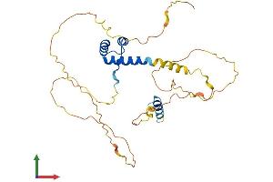 Protein Structure (PS) image for ALX Homeobox 1 (ALX1) (AA 1-326) protein (His tag) (ABIN7552049)