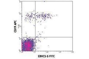 Flow Cytometry (FACS) image for anti-Fc Fragment of IgE, Low Affinity II, Receptor For (CD23) (FCER2) antibody (FITC) (ABIN2661597)