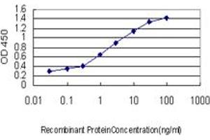 Detection limit for recombinant GST tagged REV1L is approximately 0. (ACBD3 Antikörper  (AA 73-171))