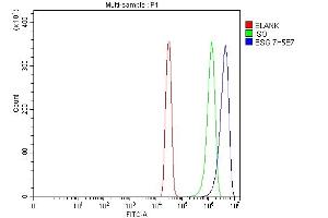 Flow Cytometry analysis of SiHa cells using anti-CD147/Emmprin antibody (ABIN7599999). (CD147 Antikörper  (AA 138-323))