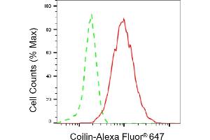Flow cytometric analysis of Coilin expression in HepG2 cells using Coilin antibody (ABIN7798119), 1:2,000). (Rekombinanter Coilin Antikörper)