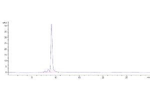The purity of Anti-SOST / Sclerostin Reference Antibody (setrusumab) is 91.