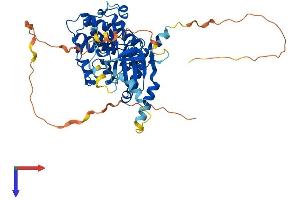 STK32C Protein (AA 1-486) (His tag)