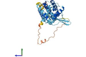 Protein Structure (PS) image for Parvin, gamma (PARVG) (AA 1-331) protein (His tag) (ABIN7561432)