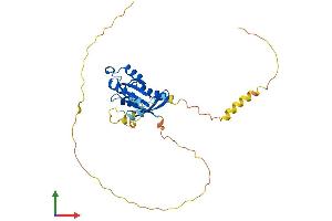 AlphaFold protein structure predicition of Mouse Recombinant Rem1 Protein, UniprotID O35929