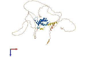 FOXA1 Protein (AA 1-468) (His tag)