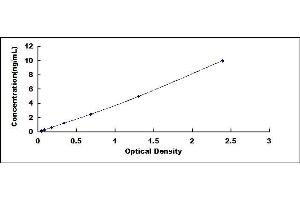 Typical standard curve (GCLM ELISA Kit)