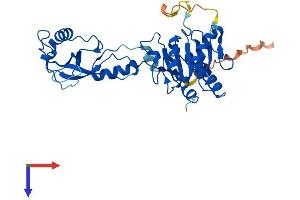 ADAT3 Protein (AA 1-351) (His tag)