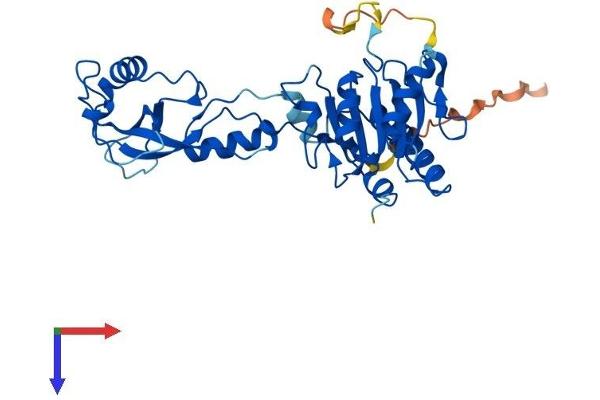 ADAT3 Protein (AA 1-351) (His tag)