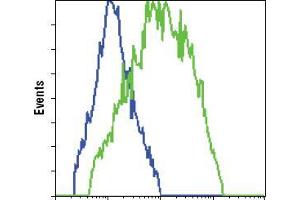 Flow cytometric analysis of HCC827 cells, untransfected (blue) or transfected with GFP (green), using GFP mouse mAb . (GFP Antikörper)