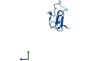 Protein Structure (PS) image for Anaphase Promoting Complex Subunit 11 (ANAPC11) (AA 1-84) protein (Fc Tag) (ABIN7560489)