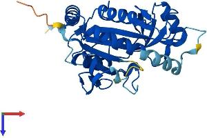 MTAP Protein (AA 1-283) (His tag)