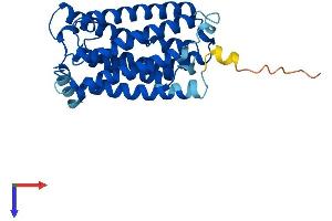 ELOVL1 Protein (AA 1-279) (His tag)