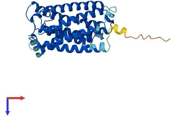 ELOVL1 Protein (AA 1-279) (His tag)