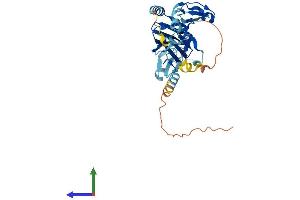 Protein Structure (PS) image for Integrin beta 1 Binding Protein (Melusin) 2 (ITGB1BP2) (AA 1-347) protein (His tag) (ABIN7548590)