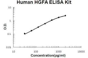 Human HGFA PicoKine ELISA Kit standard curve