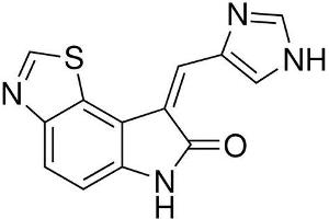 Chemical structure of C16 , a PKR kinase inhibitor.