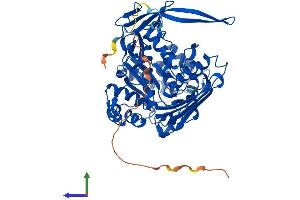Protein Structure (PS) image for Inositol-3-Phosphate Synthase 1 (ISYNA1) (AA 1-557) protein (His tag) (ABIN7561521)