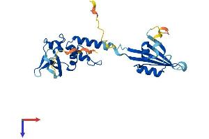 KCTD1 Protein (AA 1-257) (His tag)