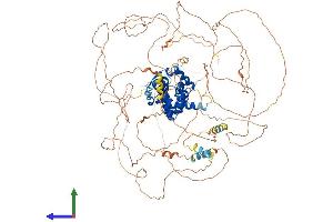 AlphaFold protein structure predicition of Human Recombinant ARHGAP11A Protein, UniprotID Q6P4F7 (ARHGAP11A Protein (AA 1-1023) (His tag))