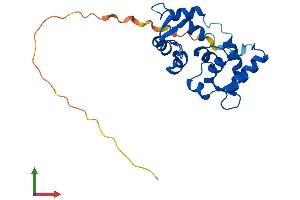 Protein Structure (PS) image for Myosin, Light Chain 6B, Alkali, Smooth Muscle and Non-Muscle (MYL6B) (AA 1-208) protein (His tag) (ABIN7549619)