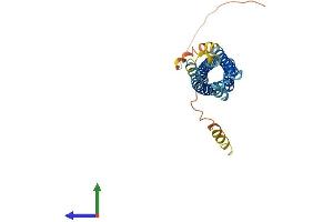 Protein Structure (PS) image for Membrane-Spanning 4-Domains, Subfamily A, Member 7 (MS4A7) (AA 1-240) protein (His tag) (ABIN7549542)