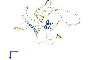 UNCX Protein (AA 1-531) (His tag)