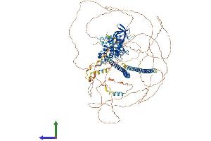 Protein Structure (PS) image for Tumor Protein P53 Binding Protein 2 (TP53BP2) (AA 1-1128) protein (His tag) (ABIN7552433)