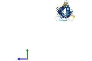 Protein Structure (PS) image for Claudin 8 (CLDN8) (AA 1-225) protein (His tag) (ABIN7553396)