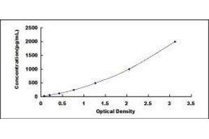 ELISA image for Glypican 4 (GPC4) ELISA Kit (ABIN417027)