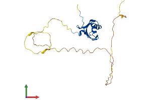 Protein Structure (PS) image for RNA Binding Motif Protein 24 (RBM24) (AA 1-236) protein (His tag) (ABIN7562105)